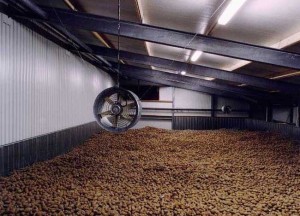 Хранилище картофеля